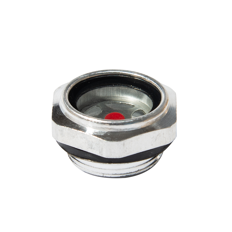 Organicum speculum plana codex