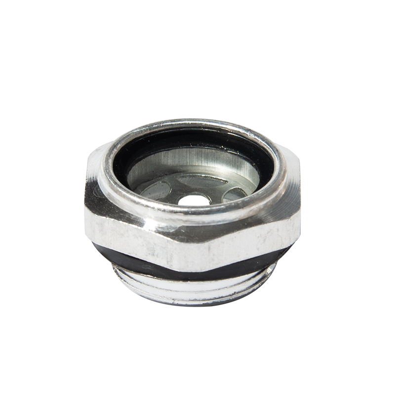 Organicum speculum plana codex