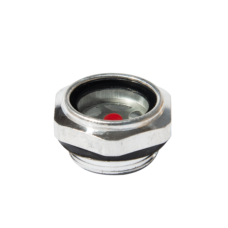 Organicum speculum plana codex