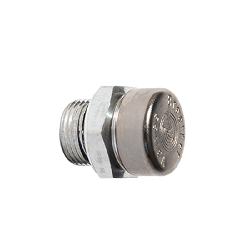 Organicum speculum plana codex